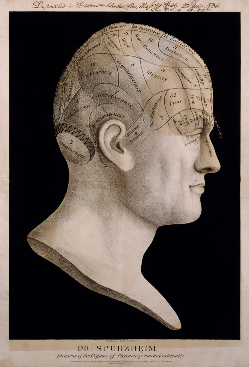 Nineteenth-century phrenology bust of Dr Spurzheim, the skull divided into labelled faculties.